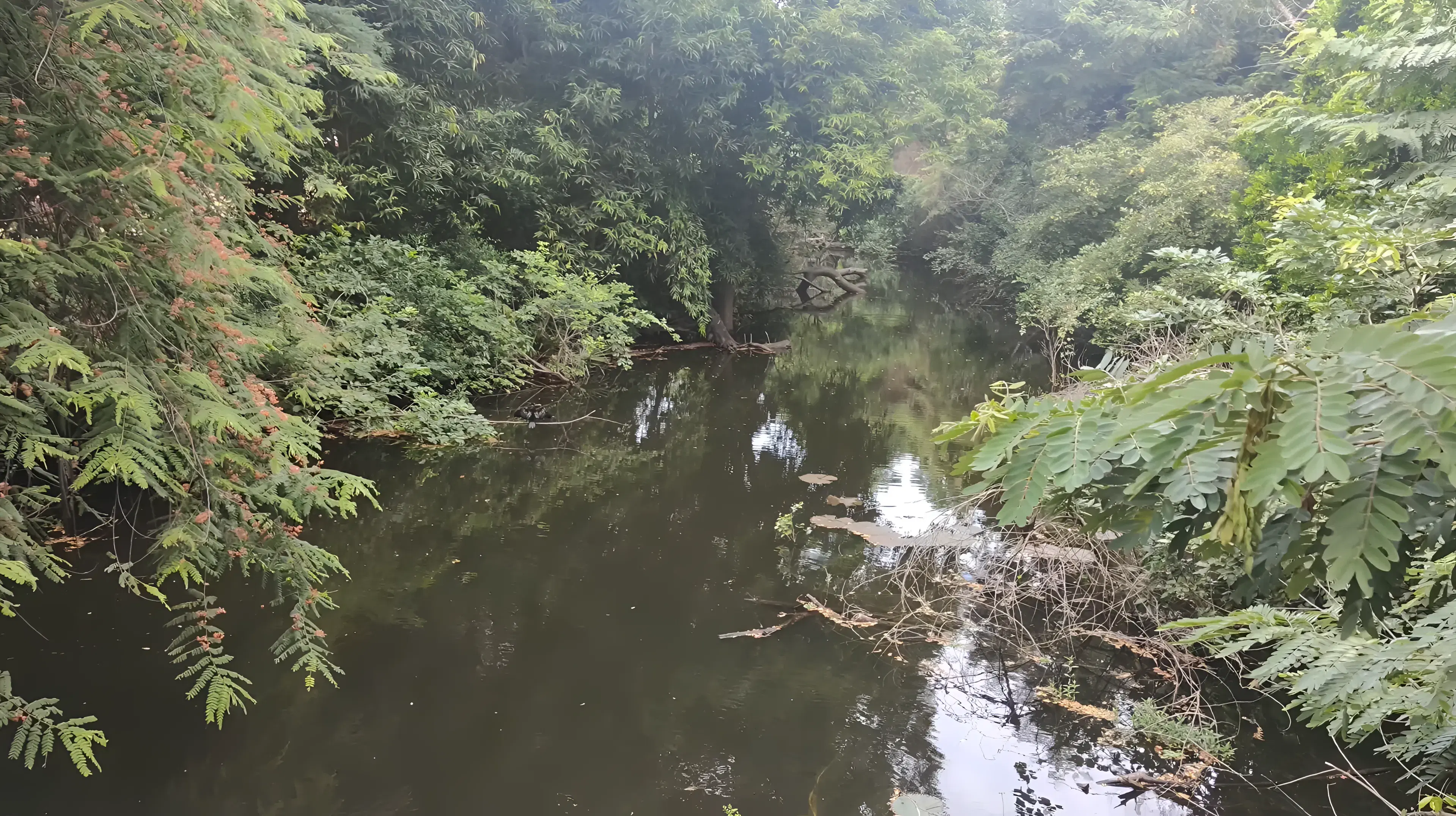 DOMS, IIT Madras academic infrastructure photo 9